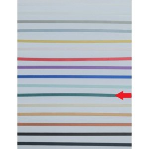 Textilní pásek ISOTRA (5x0,14 mm) Barva: Tmavě zelená