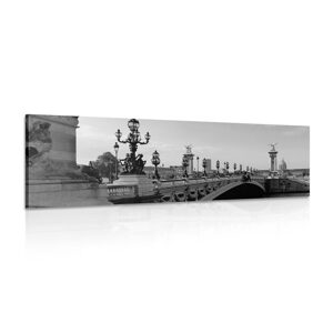 Obraz most Alexandra III. v Paříži v černobílém provedení