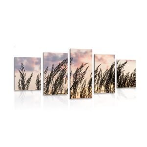 5-dílný obraz tráva při zapadajícím slunci