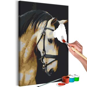 Obraz malování podle čísel nádherný portrét koně