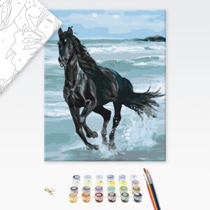 Malování podle čísel černý kůň na pláži