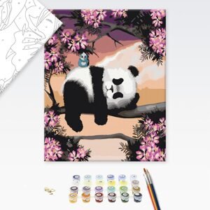 Malování podle čísel ospalá panda