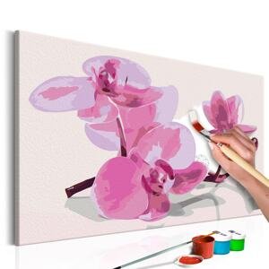 Obraz malování podle čísel orchidej - Orchid Flowers
