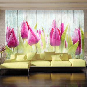 Fototapeta Tulipány na bílém dřevě - tulipány on white wood